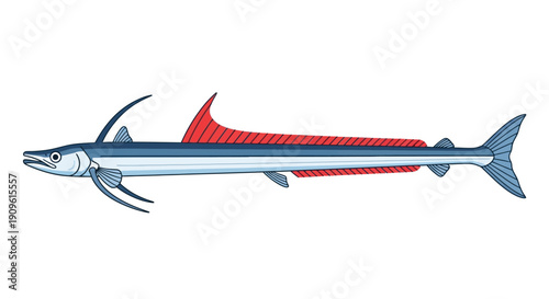 Illustration of a blue and red sailfish with elongated body and prominent dorsal fin.
