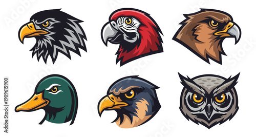 Diverse avian portraits in vector illustration style