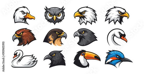 Diverse bird portraits collection against a black background