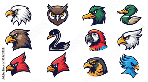 Diverse avian portraits in vector style for graphic design