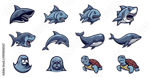 Marine animals set sharks fish dolphin whale seal turtle illustrations