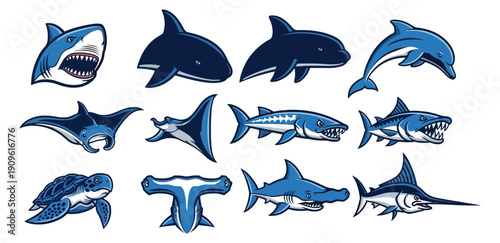 Marine life illustrations various sea creatures isolated