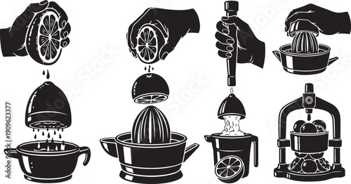 Various manual juicers for extracting juice from fruits and vegetables