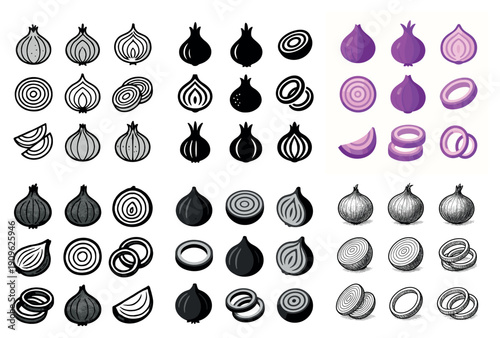 Onion slices and whole: vector illustrations