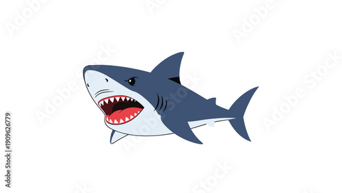 Vector illustration of a powerful great white shark with its mouth wide open showing sharp teeth, isolated on a clean white background.