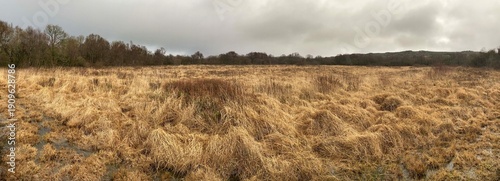 Promenade dans les tourbières des Monts d'Arrée en Finistère Bretagne Cornouaille France