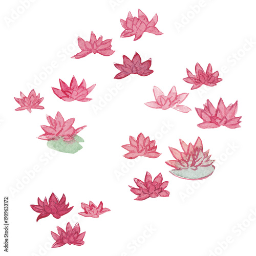 aquarelle fleur nénuphar, petite illustration, ornement, rose, rouge, peinture