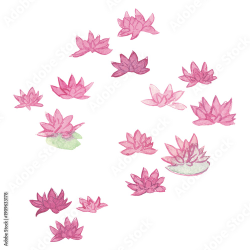 Bild auf Leinwand aquarelle fleur nénuphar, petite illustration, ornement, rose, rouge, peinture