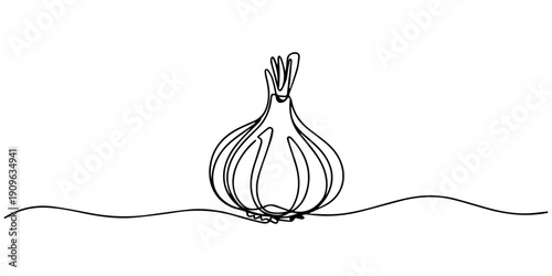 Garlic bulb one line continuous drawing. Fresh organic vegetable. Vector illustration, One line garlic vector illustration, Continuous one line drawing whole healthy organic garlic for plantation logo