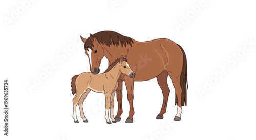 Detailed Vector Illustration of Mare and Foal Nuzzling