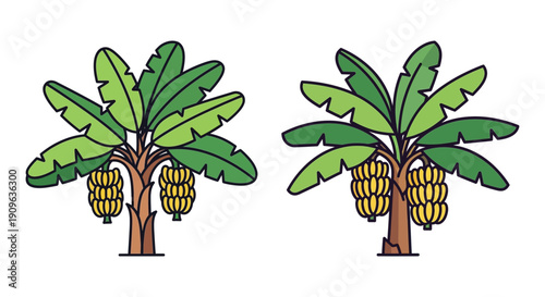 Two stylized banana plants with green and yellow fruit bunches