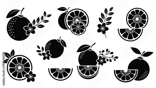 Diverse set of black silhouette icons featuring oranges slices leaves and blossoms for food and beverage branding.