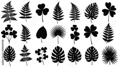 Large collection of black leaf silhouettes including fern fronds, monstera leaves, and clover shapes isolated on a clean white background.