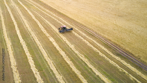 A panoramic view of a field with mown swaths of grain crops alternating with strips of stubble. A self-propelled mower leaves the field. Footage taken from a drone.