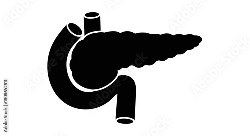 An illustration of a human pancreas and stomach in a medical context with digestive system.