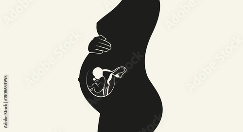 Pregnant woman's silhouette with hand on belly showcasing fetus inside womb in 4y7 (149)