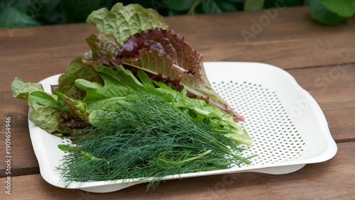 A bunch of fresh herbs from the garden on a perforated flat plastic tray on a wooden table.
