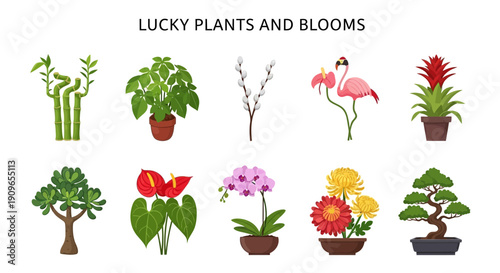 Ten illustrated lucky plants and blooms arranged in two horizontal rows