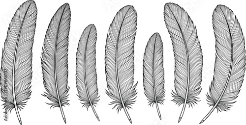 Seven detailed feather illustrations, intricate black and white vector artwork emphasizing texture and variation for decorative design, artistic background