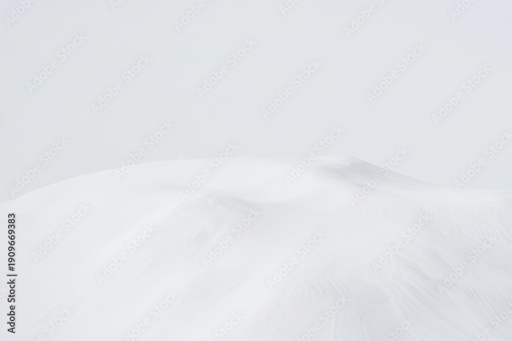Fototapeta premium Powdered sugar, white ground background and texture