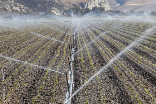 Wallpaper Mural Aerial View of Sprinkler Irrigation on California Farm Torontodigital.ca