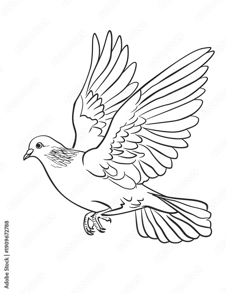 Fototapeta premium birds coloring page, bird coloring pages, wildlife coloring sheets, tropical bird coloring page, bird coloring book, animal coloring page, animals coloring book