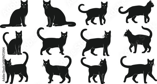 Twelve black cat silhouette illustrations, diverse feline poses vector artwork featuring sitting, standing, walking, turning designs for creative projects