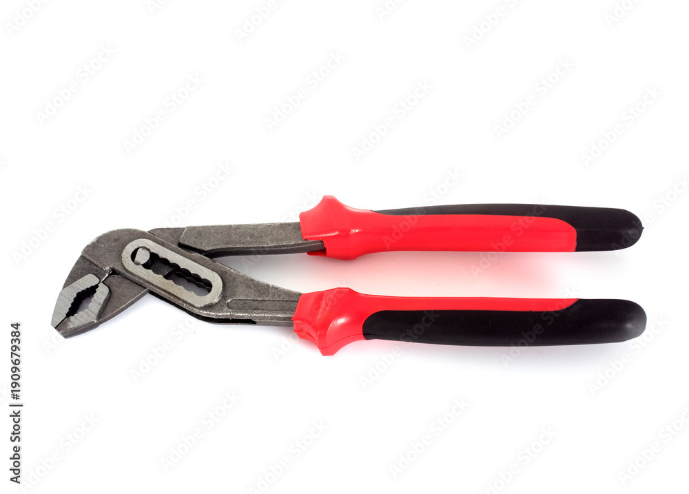 Obraz premium crocodile clips in studio