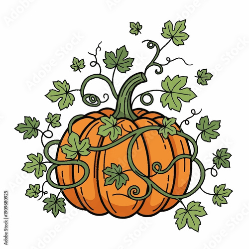 Pumpkin with Vines and Leaves Illustration.