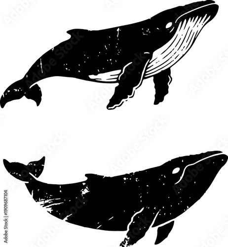 Black and white whale silhouettes swimming, ocean marine mammal design illustrations