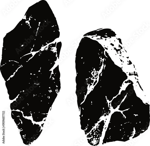 black marble slab pieces with white veins isolated on white background, natural stone texture elements