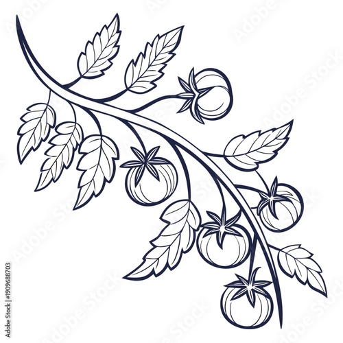 A beautiful illustration of a branch with ripe tomatoes and green leaves