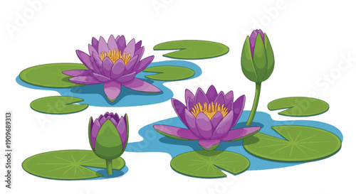 Illustration of purple water lilies and green lily pads on water