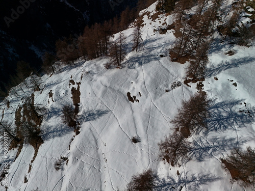 Wallpaper Mural Deers tracks on the snow in Chamois alpine village aerial view in winter season Torontodigital.ca