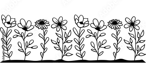 Botanical line art illustration of wild flowers in a garden row