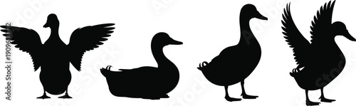 Black Duck Silhouette Set with Mallard Bird Outlines and Waterfowl Poses Isolated on White Background for Poultry Logo Design Nature Art and Vector Graphics