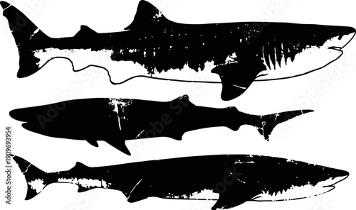 Silhouettes of three different sharks swimming side view ocean predators illustration