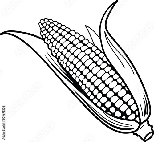 corn on the cob