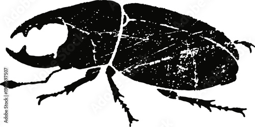 black beetle silhouette with detailed legs and segmented body isolated on white background