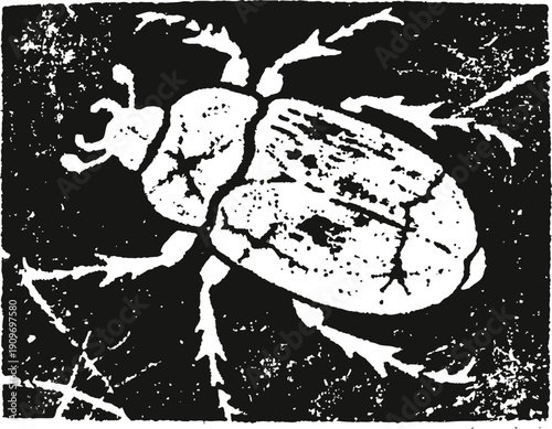 Vintage beetle illustration with textured background, detailed insect drawing