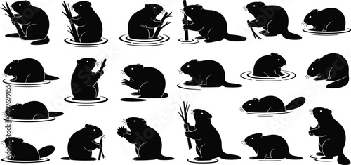 Black Silhouette Set of Beavers in Various Poses Including Swimming and Gnawing Wood for Wildlife Vector Illustration Nature Design Elements and Animal Logo Template