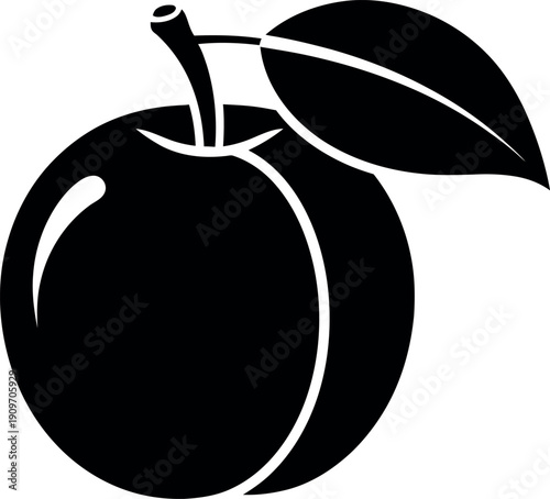 Black and white apricot icon sweet garden fruit summer harvest