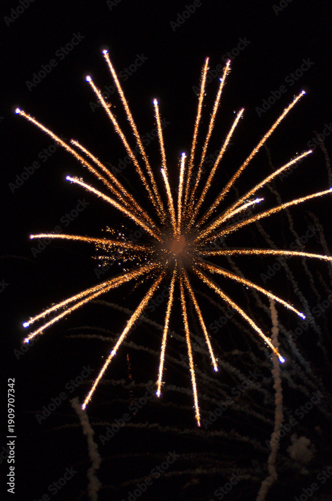 Fototapeta premium Fireworks
