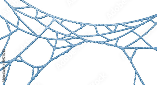 Intricate spider web lines covered in glistening water droplets and morning dew on a clean white background.