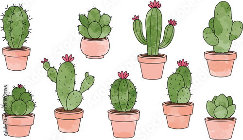 Nine different types of potted cacti on a white background with pink flowers
