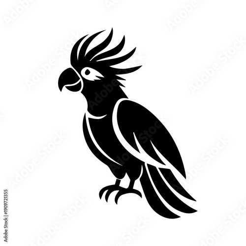 black and white Cockatoo