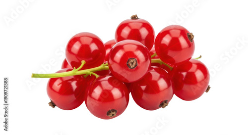 Εκτύπωση καμβά Red currant berries isolated PNG, fresh and juicy fruit on transparent backgroun