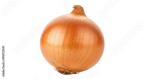 Valokuva Golden brown onion isolated PNG on transparent background, fresh vegetable for c