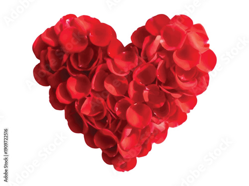 A close-up view of a vector file icon on a white background with a blue border