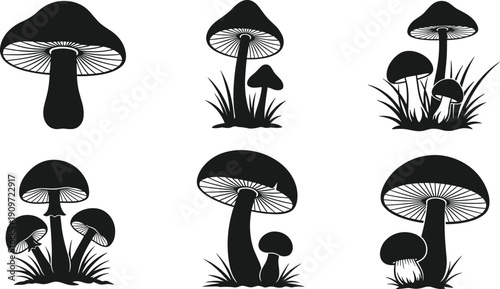 Stylized mushroom illustrations with detailed gills and stems, botanical diversity artwork in black and blue highlights for design